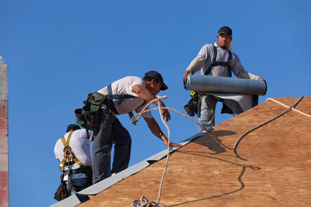 Best Gutter Installation and Roofing  in Hawkins, TX
